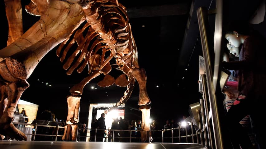 Fossiel van dinosaurus gevonden die omkwam bij uitsterven door meteorietinslag