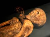 'Wetenschappers gaan stem van ijsmummie Ötzi nabootsen' 