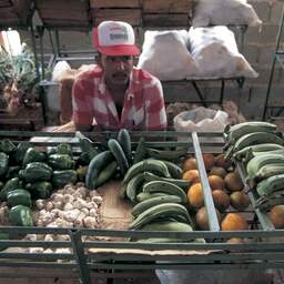 Cuba is te arm om genoeg voedsel te produceren, laat staat te importeren