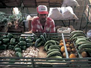 Cuba is te arm om genoeg voedsel te produceren, laat staan te importeren