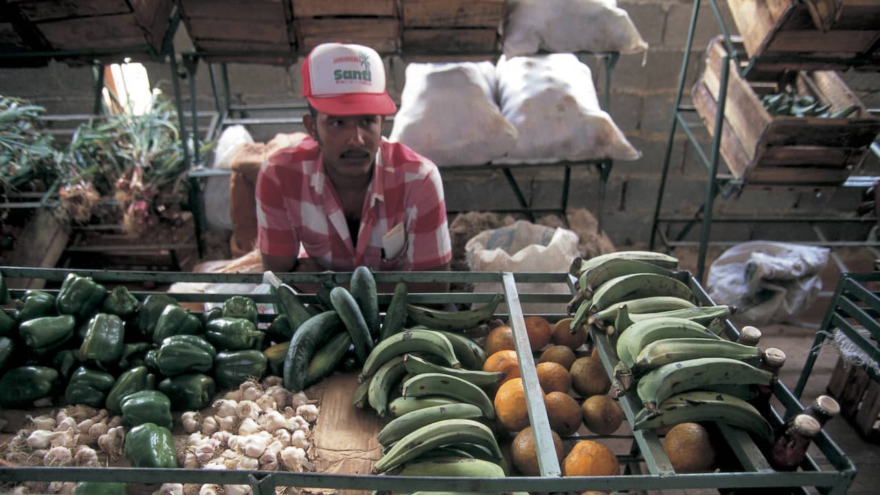 Cuba is too poor to produce enough food, let alone an imported economy