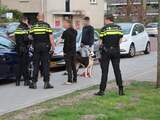 Hond bijt voor tweede keer andere hond dood in Den Haag, politie neemt dier in beslag