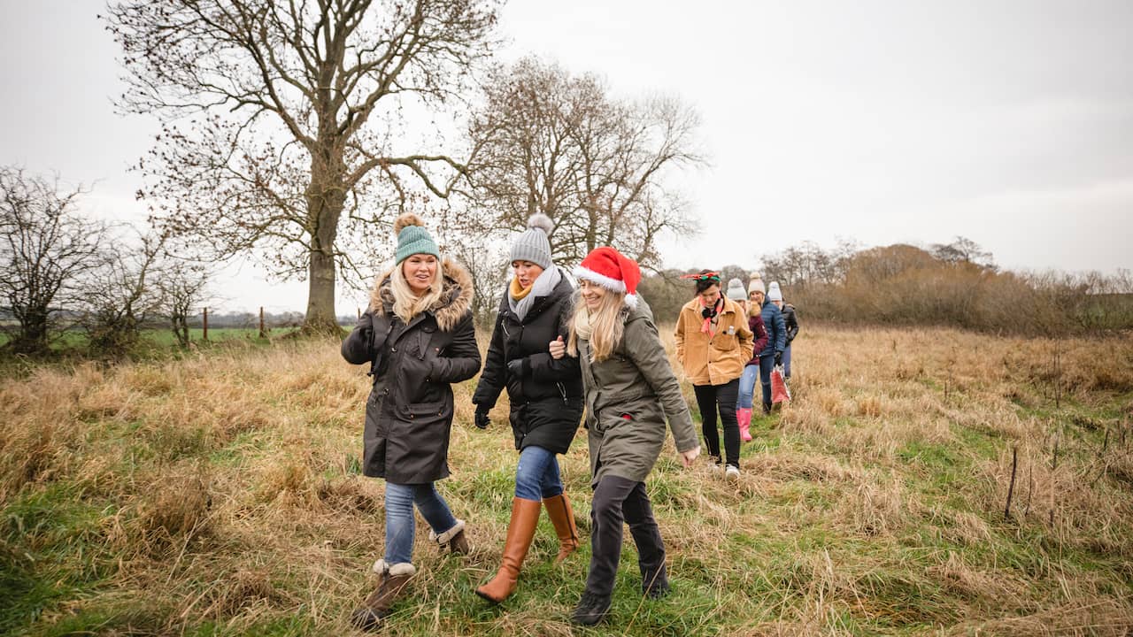 Boxing Day Weather Forecast: Mild with Strong Winds and Some Light Rain