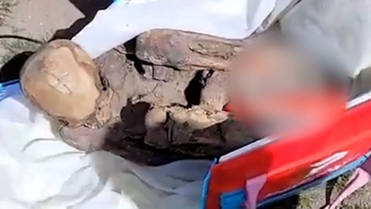 Beeld uit video: Peruaanse politie treft mummie aan in koeltas van koerier