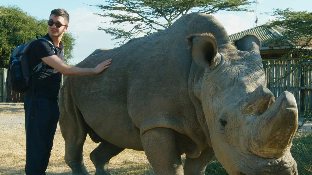 Bekijk hier de trailer van The Last Male on Earth