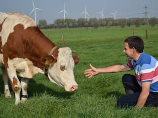 Eerste biologische melkveehouderij in Etten-Leur