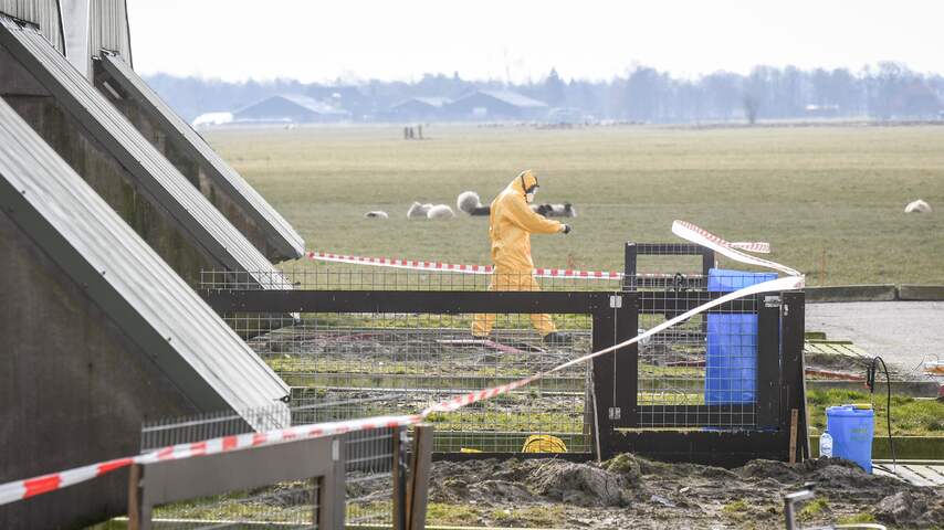 Vogelgriep Oldekerk