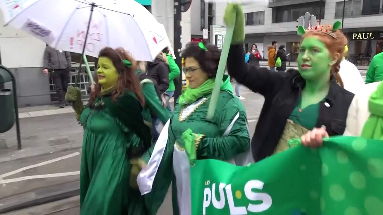 Beeld uit video: Belgisch zorgpersoneel eist verkleed als Shrek hoger loon