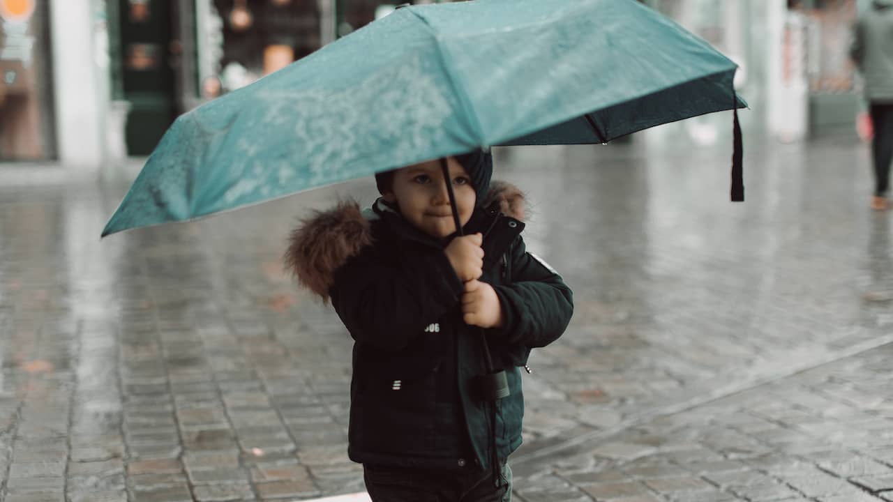 Weather Forecast: Clouds, Rain, and Thunderstorms Expected on Thursday