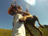 Paraglidende oma maakt vijfhonderdste vlucht samen met hond