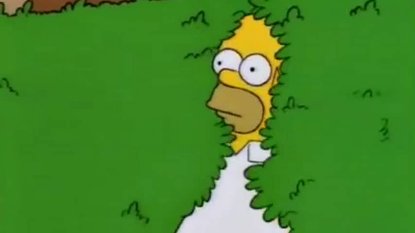 Homer in de bosjes