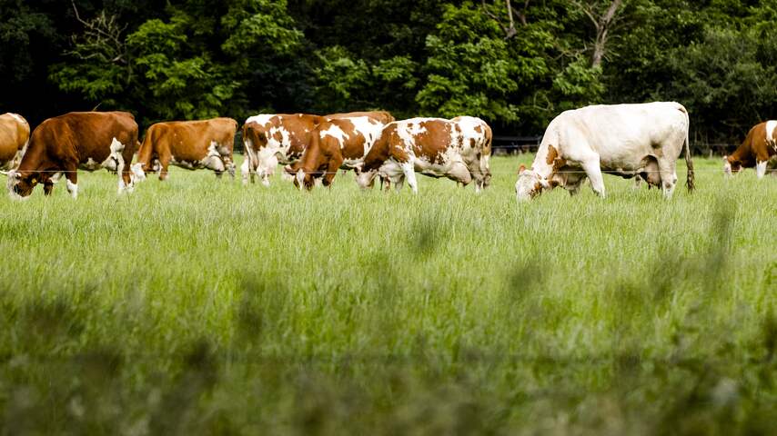 Stoppende boerenbedrijven in Ede kunnen makkelijker andere functie krijgen