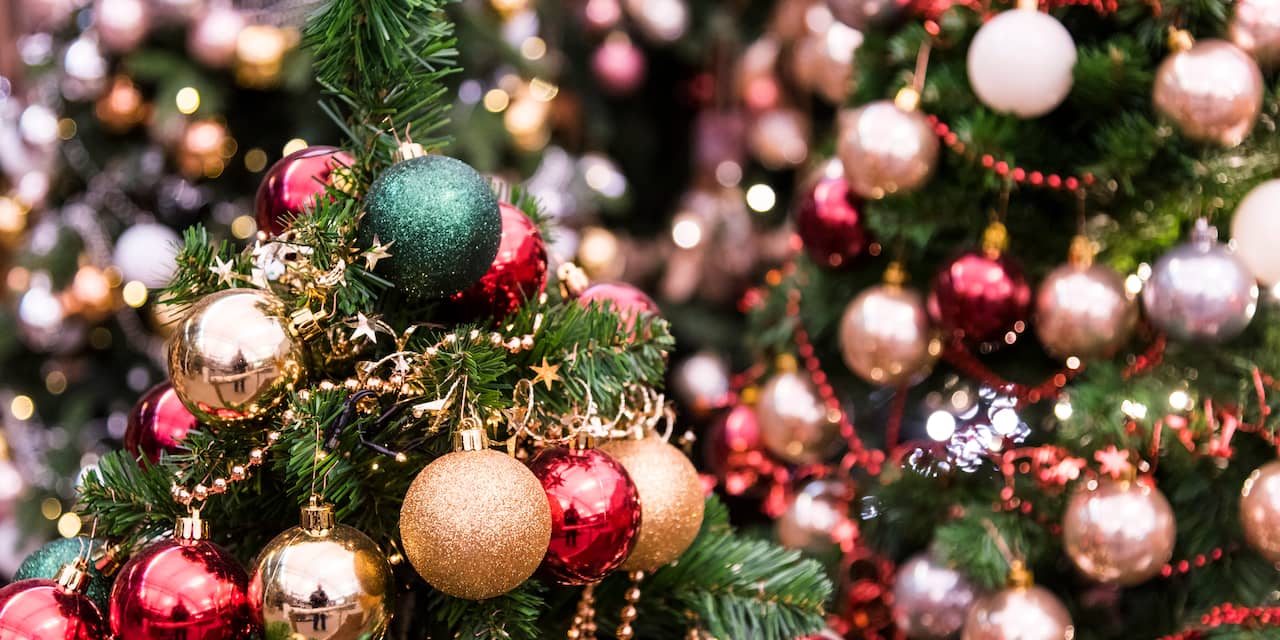 Heugelijk nieuws: de kerstboom op de Grote Markt staat