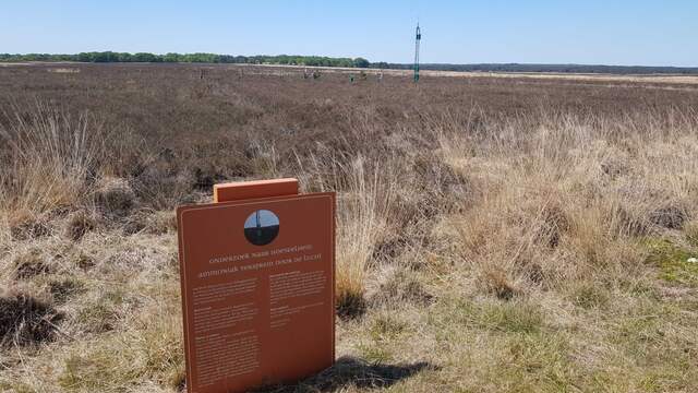 Stikstofmeetstation op de Hoge Veluwe. Op de voorgrond pijpestrootje, een snelgroeiende grassoort die van veel stikstof houdt en bloeiende kruiden wegconcurreert.