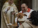 Priesters zegenen huisdieren bij kerk in Madrid