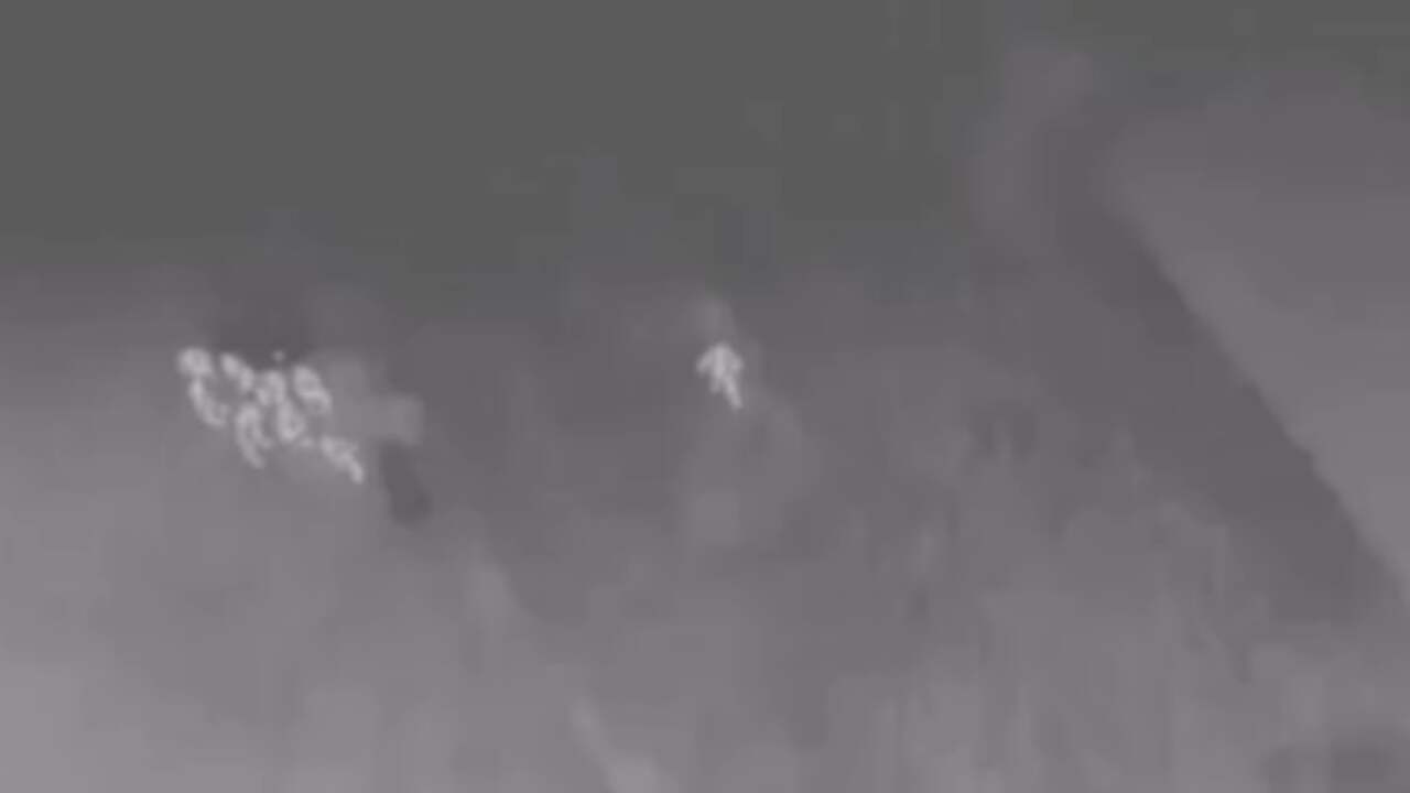 Engelse politie gebruikt drone bij zoektocht ontsnapte lynx