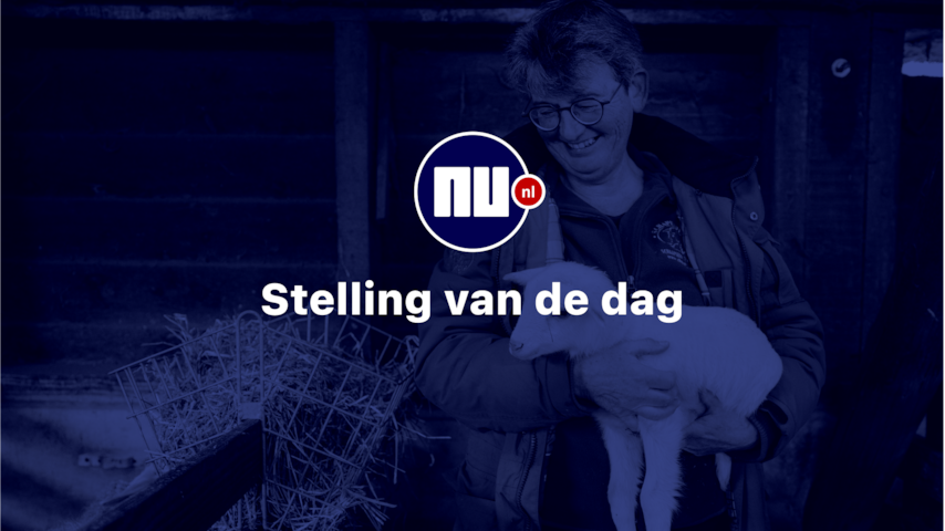 'Dierenwelzijn moet ook in de Nederlandse grondwet opgenomen worden'
