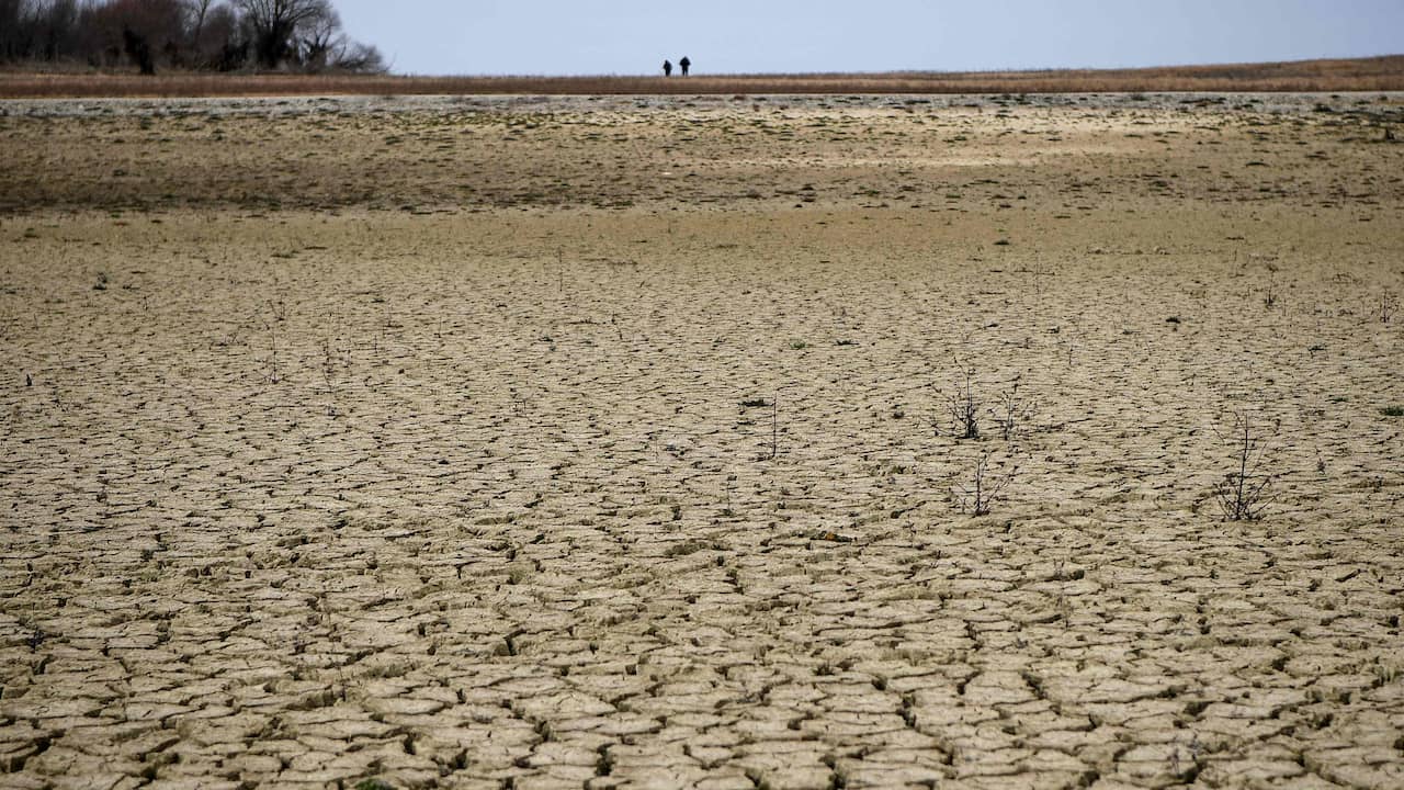 La France connaît la période hivernale la plus sèche depuis plus de soixante ans |  À l’étranger
