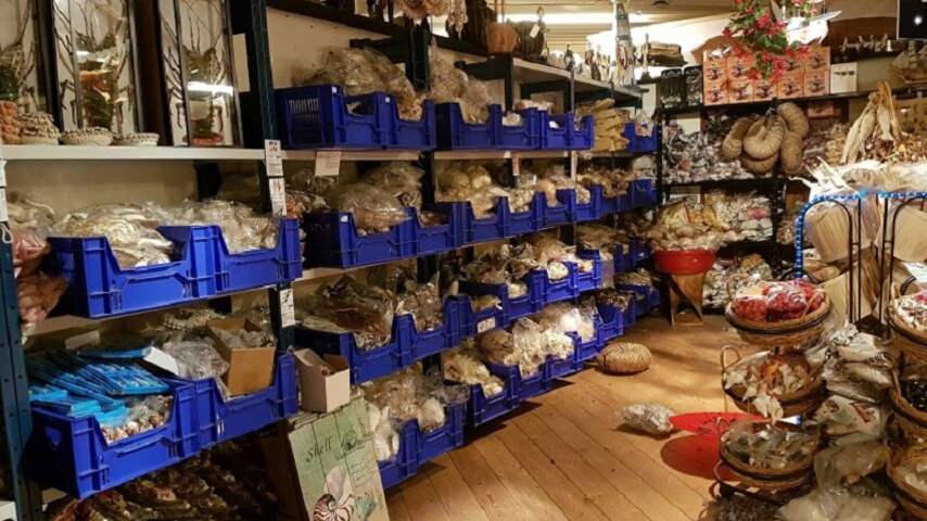Koraal in loodsen Brabant