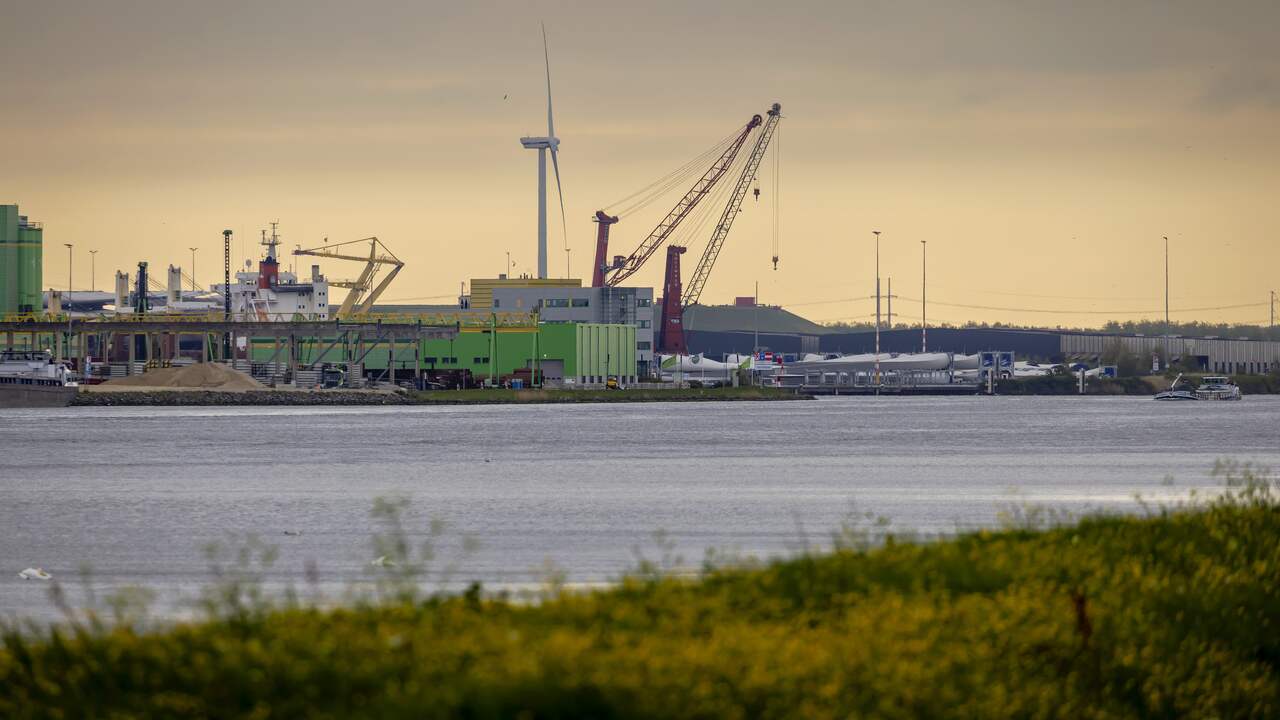 Amsterdam offers shelter to a thousand asylum seekers on a cruise ship |  NOW