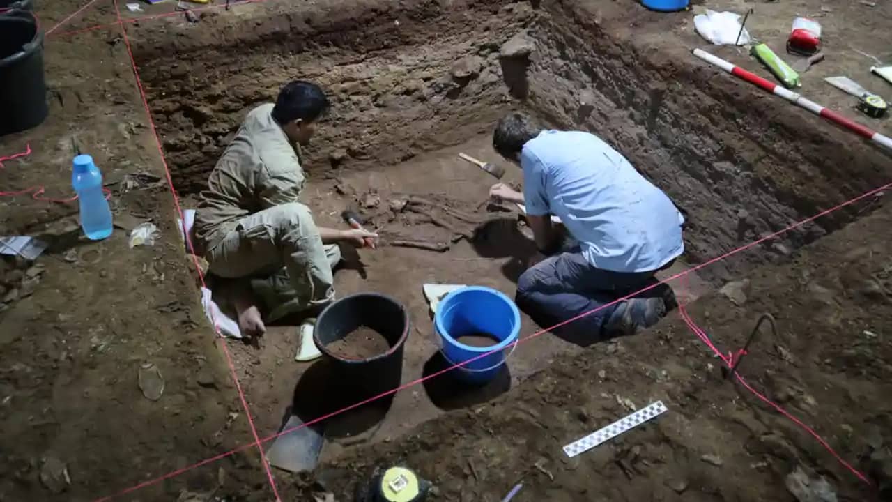 Un squelette vieux de 31 000 ans prouve que les humains ont opéré beaucoup plus tôt qu’on ne le pensait |  Science