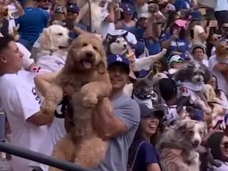 Amerikaanse honkbalfans nemen massaal hond mee naar stadion