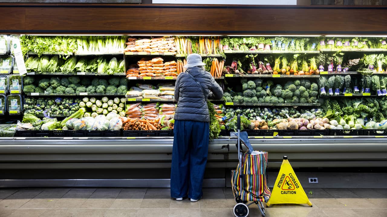 I Paesi Bassi vogliono mangiare in modo più consapevole: i dietologi difficilmente possono far fronte alla richiesta di consulenza |  Salute