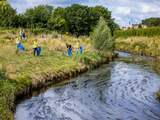 Meeste kleine wateren hebben een matige tot slechte waterkwaliteit