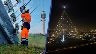 Zo wordt de grootste 'kerstboom' van Nederland opgetuigd