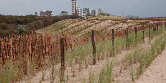 nollebos duinen vlissingen