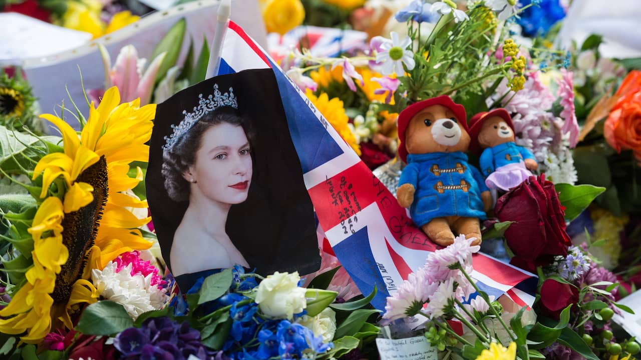 Orsi Paddington per la regina Elisabetta donati ai bambini vulnerabili |  famiglia reale