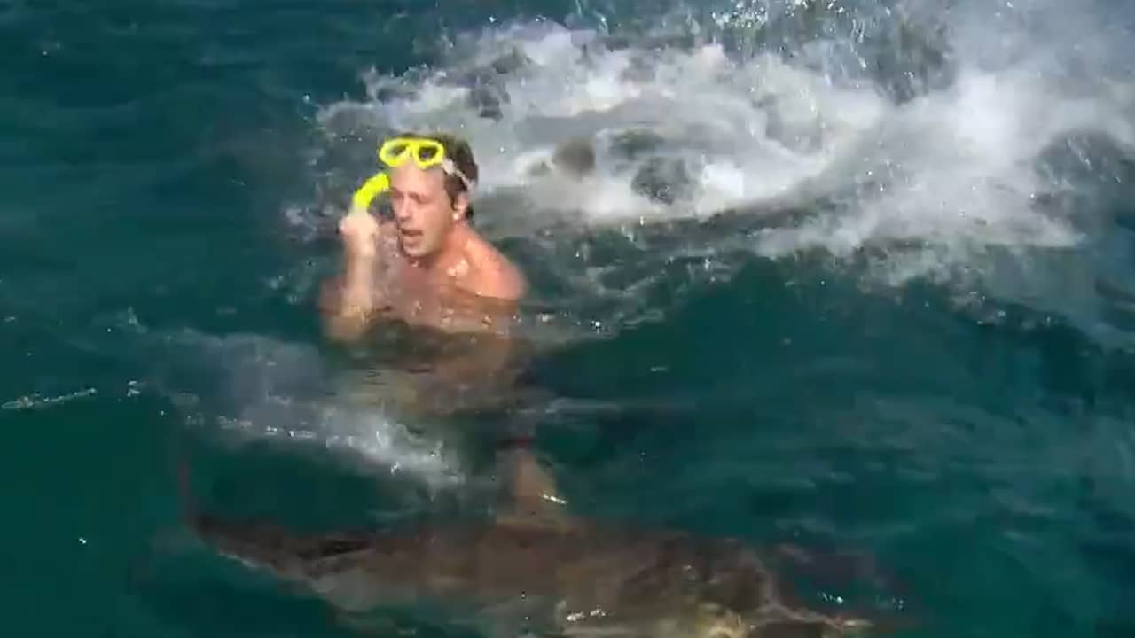 Beeld uit video: Freek Vonk deelt heftige beelden van zijn haaienbeet