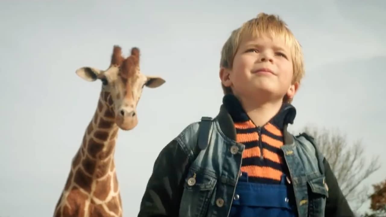 Beeld uit video: Dikkertje Dap wil graag met giraffe Raf naar school in trailer