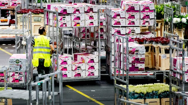 Rusland verbrandt bloemen uit Nederland | NU - Het laatste nieuws het eerst op NU.nl