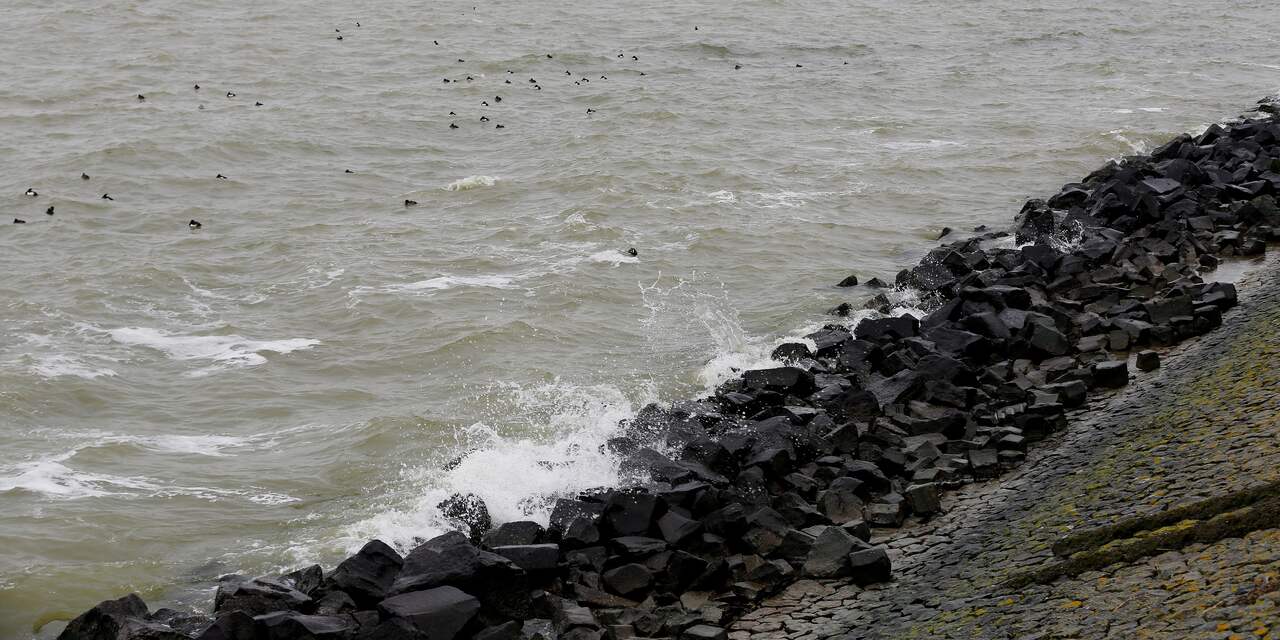 Tienduizenden betonblokken van 6.500 kilo moeten Afsluitdijk versterken