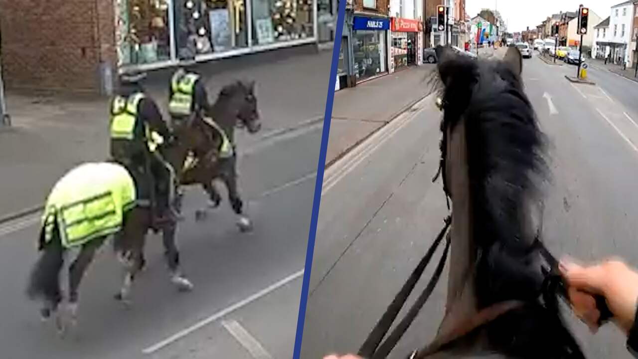 Beeld uit video: Britse politie te paard achtervolgt bestuurder die op telefoon zit