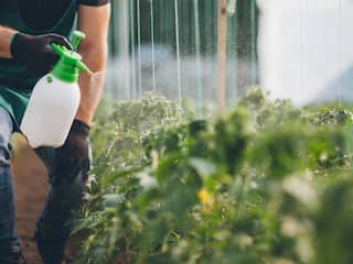 Tuincentra sluiten kwekers die illegale bestrijdingsmiddelen gebruiken buiten