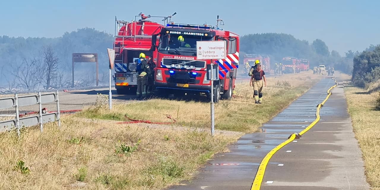 Brandweer massaal uitgerukt voor grote brand in duingebied bij Brouwersdam