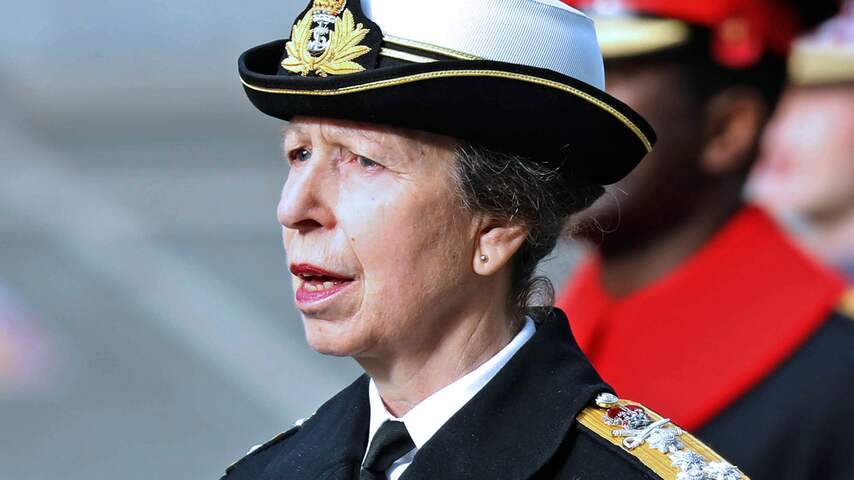 Prinses Anne volgt naar verluidt prins Harry op bij Britse mariniers