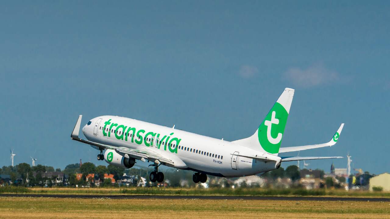 Transavia kz