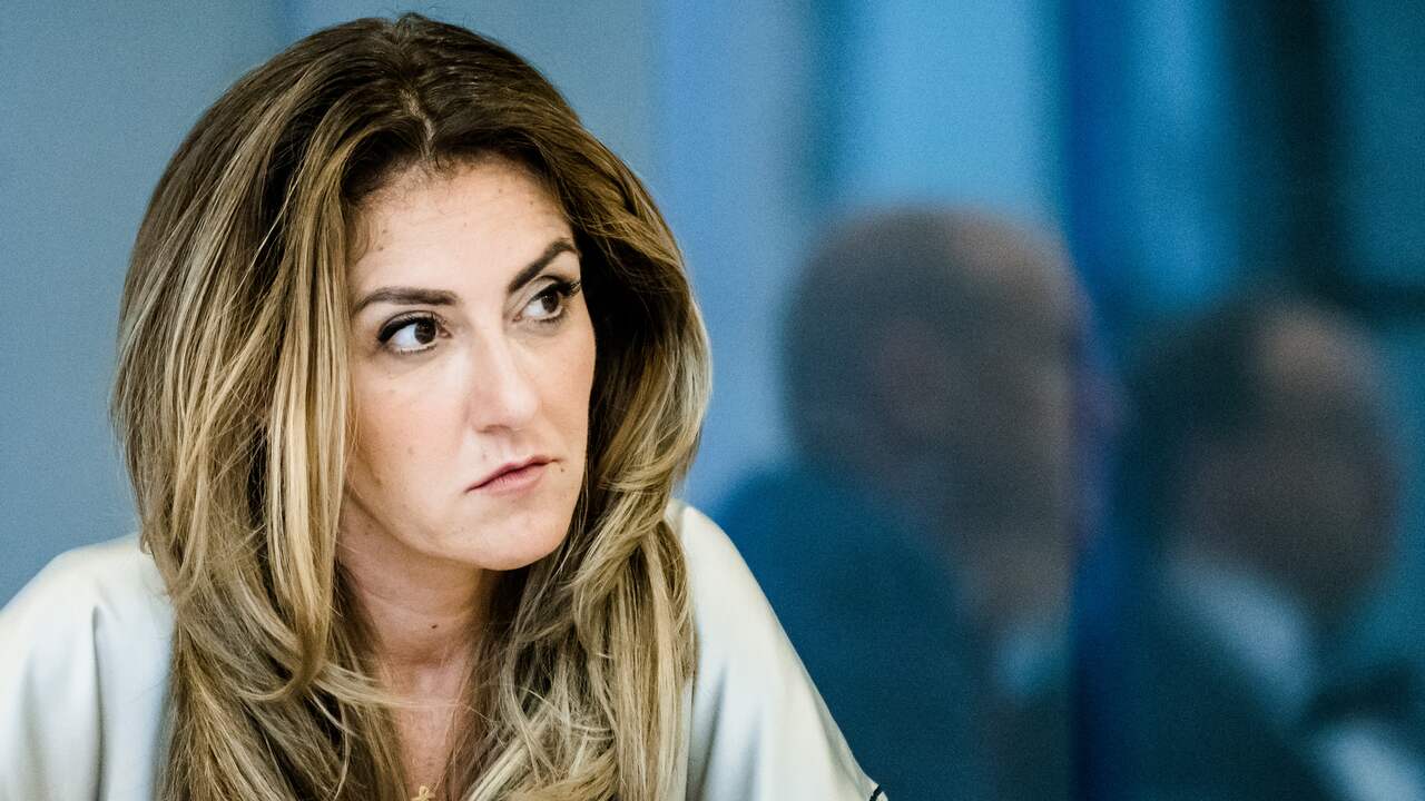 Beeld uit video: Staatssecretaris Yesilgöz: 'De energiebelasting gaat fors omlaag'