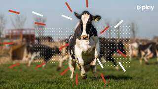 Zoveel minder vlees moeten we eten om het klimaat te redden