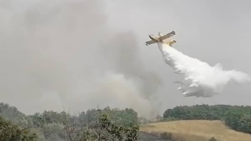 Bosbranden op Sardinië onder controle, schade in honderden miljoenen