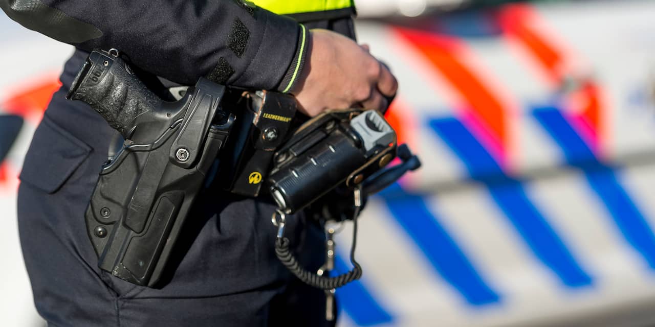 Politie met getrokken wapens in trein Alphen