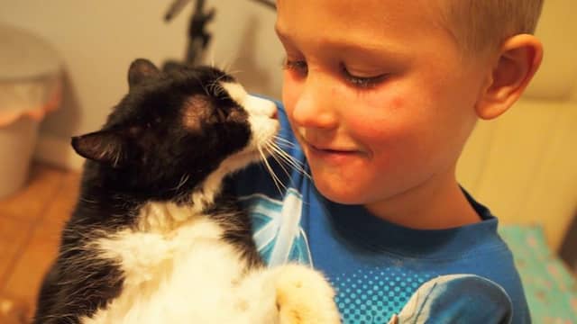 Kat van twintig wordt beste vrienden met jongen van vijf