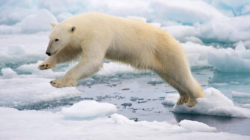Wat als je kind zo met het klimaat begaan is dat het ongezond wordt?