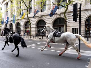 Meerdere gewonden door losgeslagen paarden in centrum van Londen