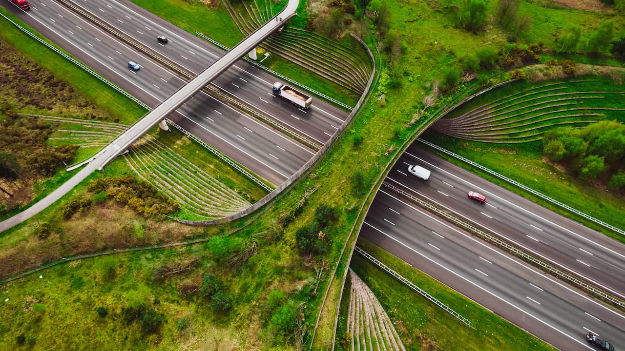 Challenges and Progress in Dutch Nature Restoration and Sustainable