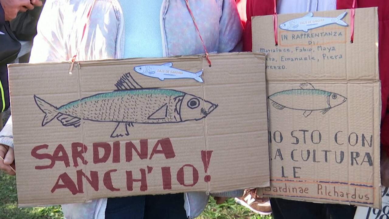 ‘Sardientjes’-demonstratie in Rome tegen partijleider Matteo Salvini