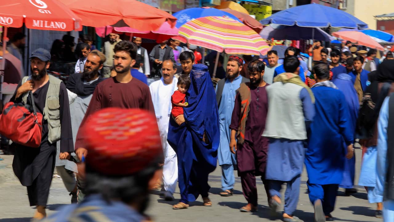 Anni dopo la caduta di Kabul, 496 afgani aspettano ancora di essere evacuati nei Paesi Bassi |  ADESSO